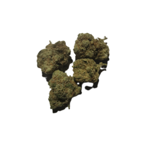 Skunk